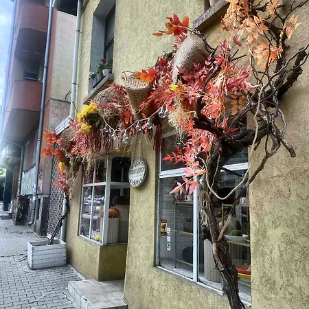 Luxury 2 Bedroom - Private Garden Daire